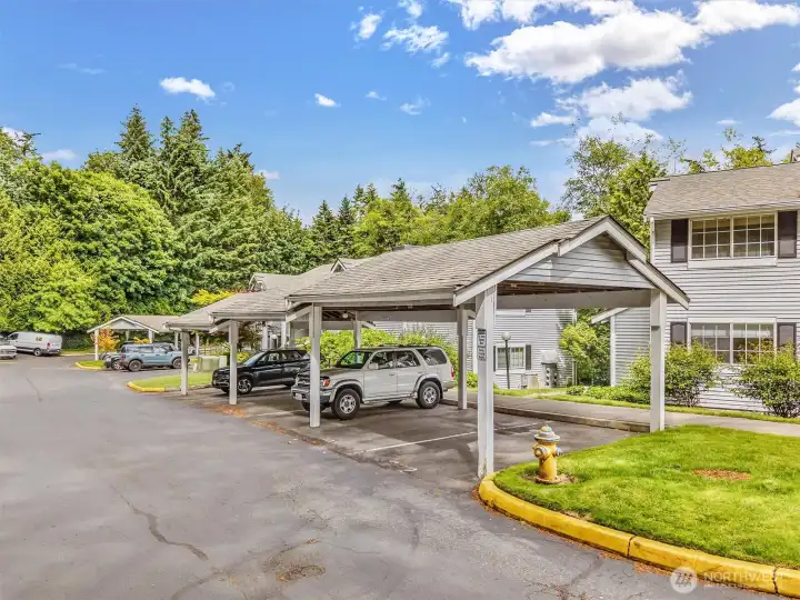 Carport space #289.
