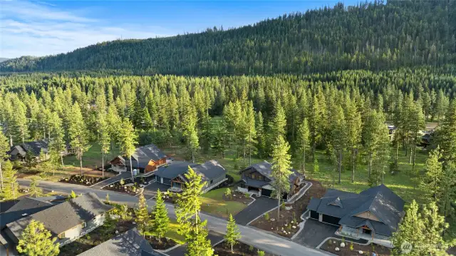 Half Acre homesite backs to Domerie Park!