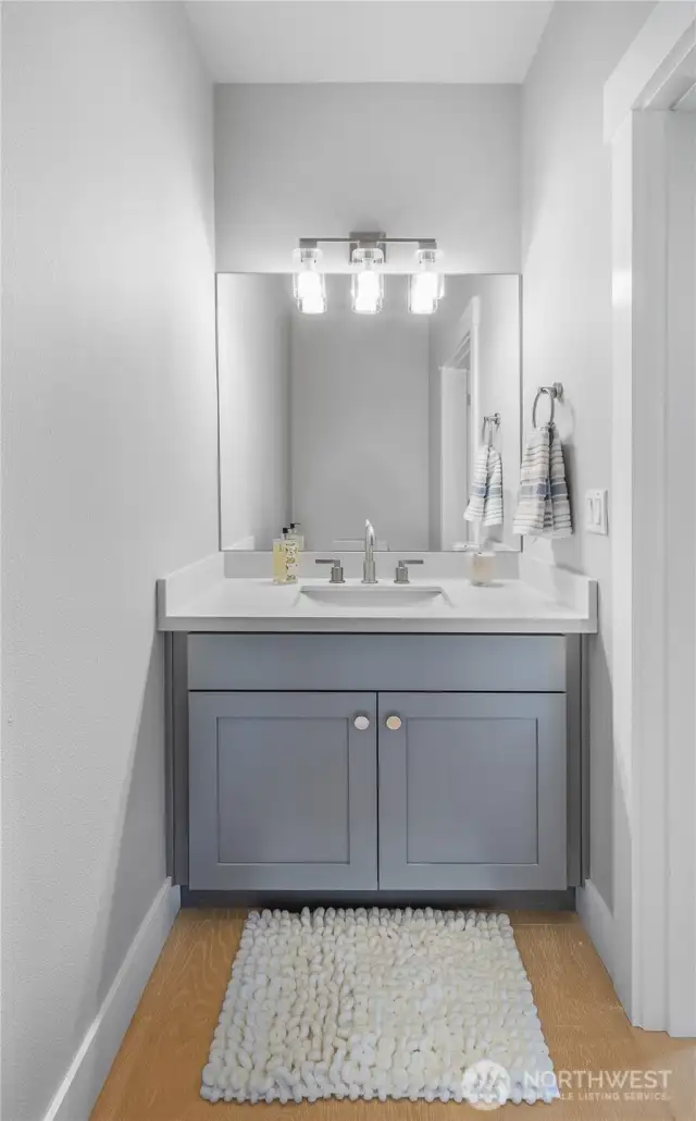 Guest bath - Main Floor