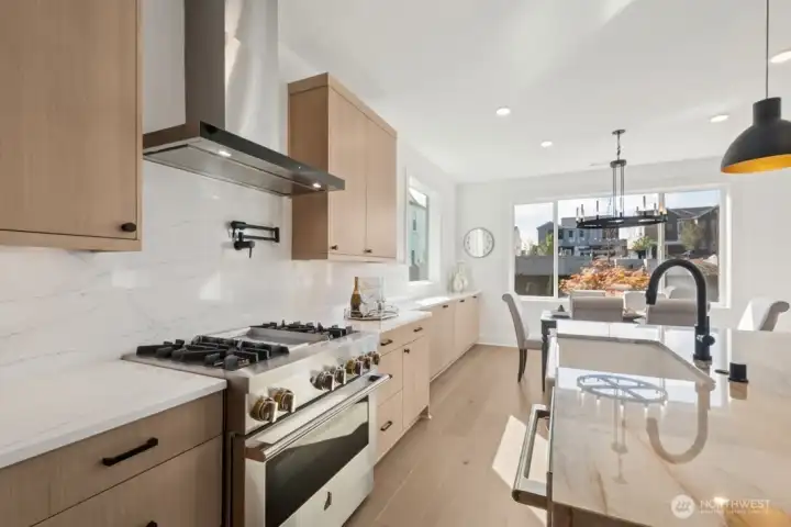 Gourmet kitchen