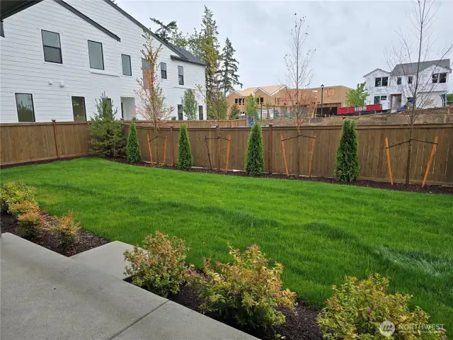 Expansive, Fully Fenced Backyard