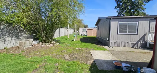 Large backyard