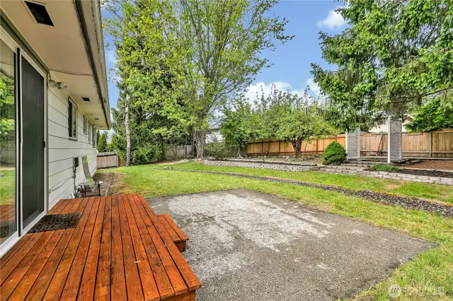 Back Yard