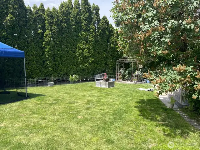 Nice big back yard with lots of planted flowers.