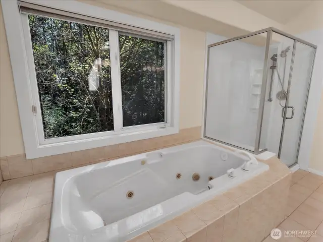 Master Bath (Upper)