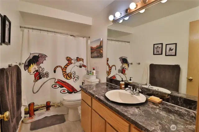 Full bathroom main floor.