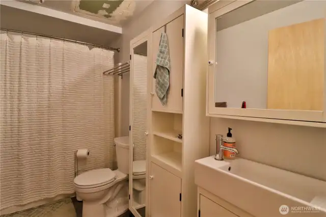 Full bathroom on the lower level.