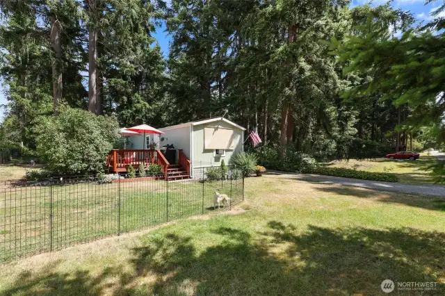 View of back yard with fence.