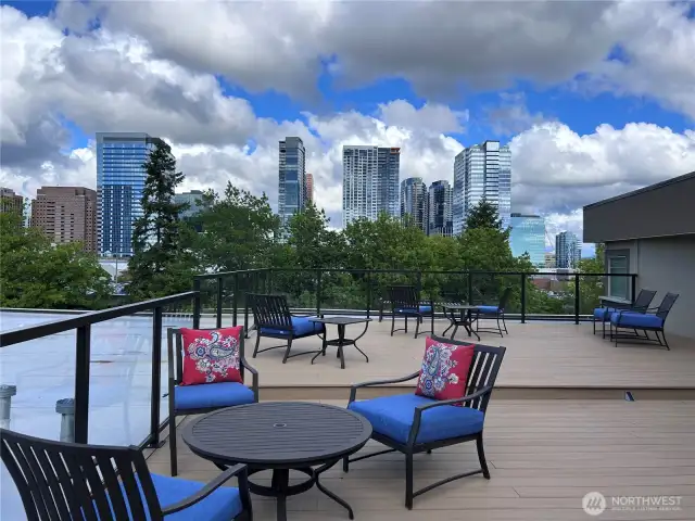 Wonderful Rooftop Deck!