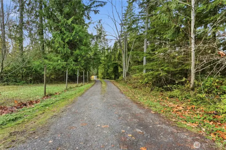 Completely hidden from the street. a private drive guide you through lush greenery to your peaceful retreat.