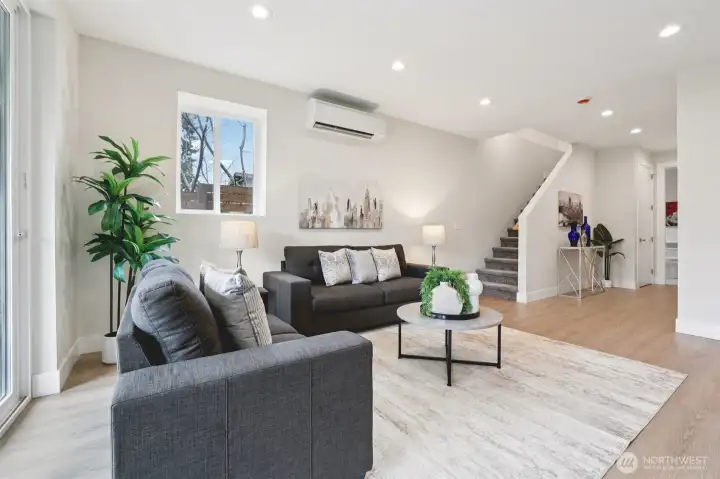 Basement Living room