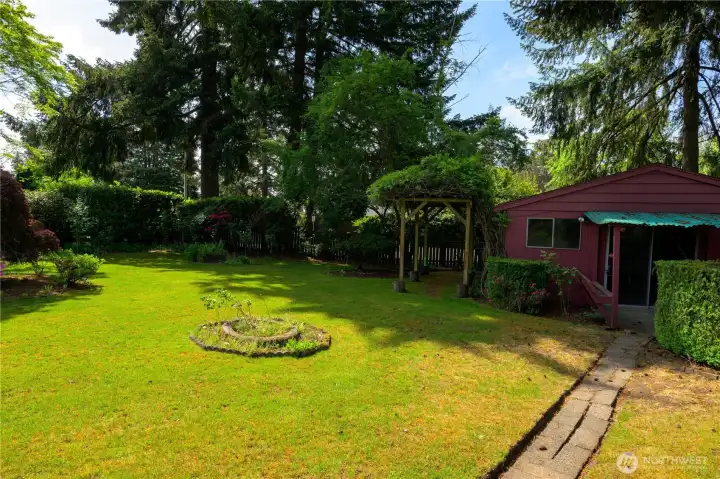 Back yard.