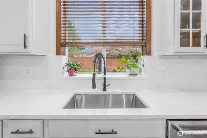 Kitchen sink with a View