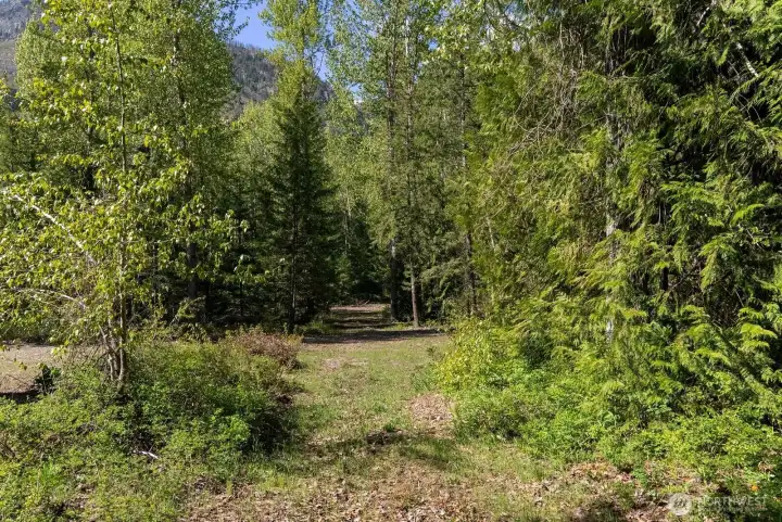 Flat open meadows