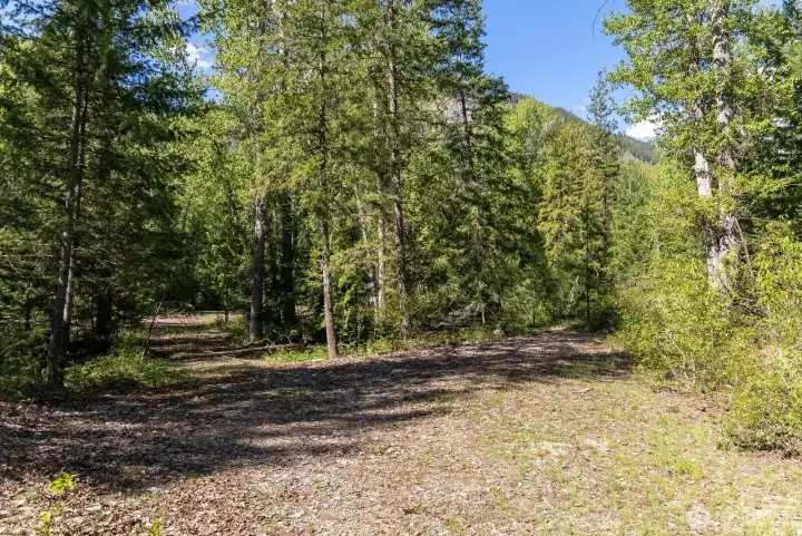 Trails and driveway established here.