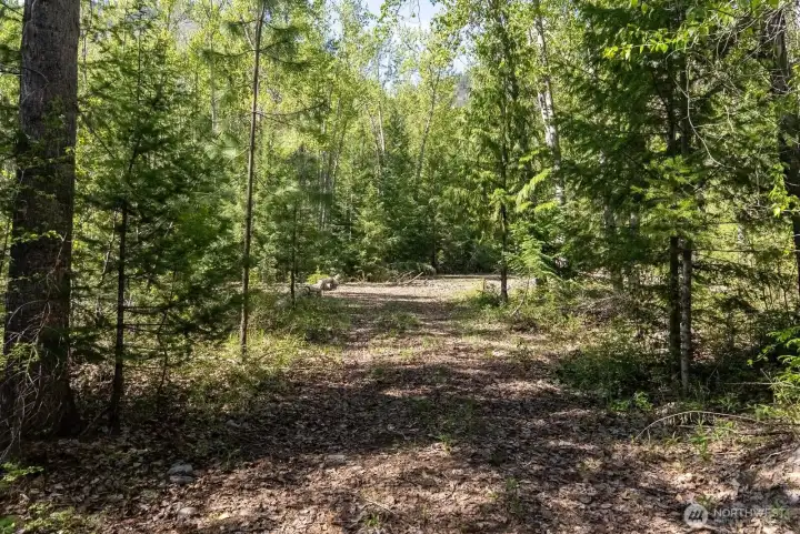Trails and driveway established here.