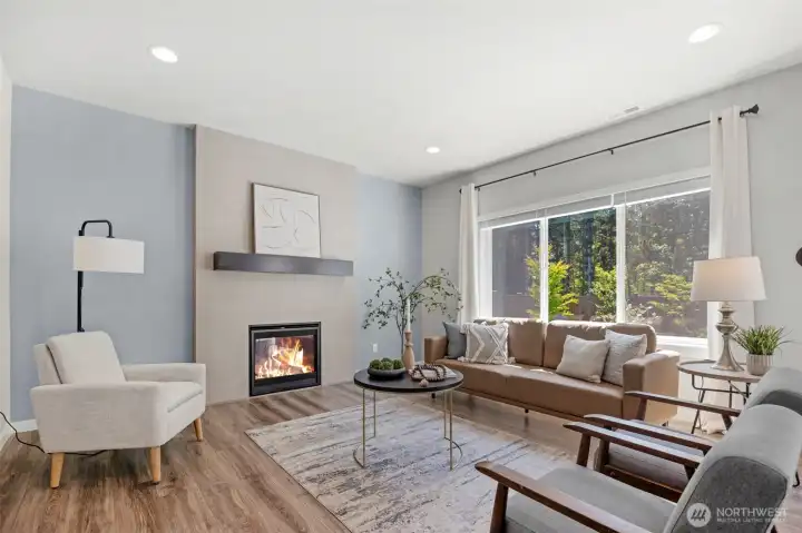 Gas Fireplace Insert