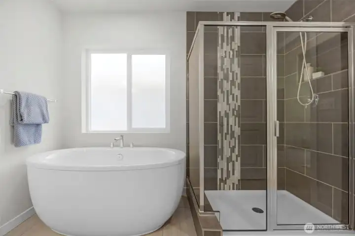 Elegand Tub and Shower in Primary Bath