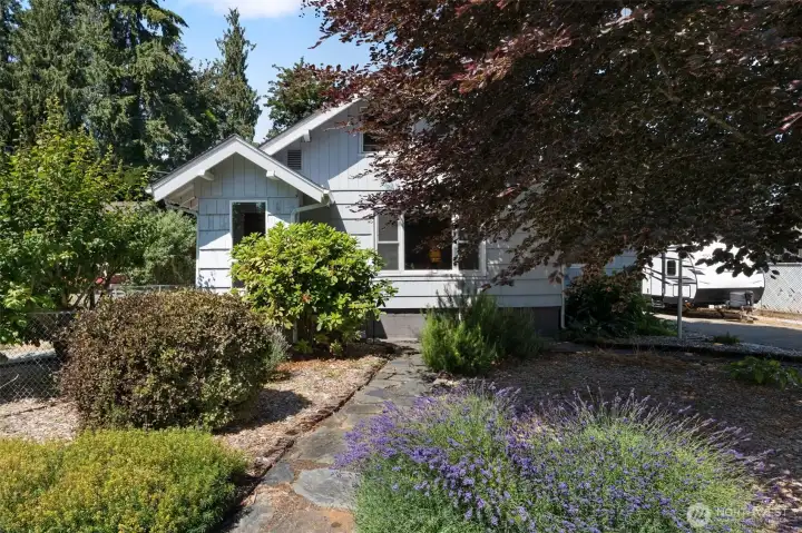 Gorgeous mature landscaping including this Ticolor European Beech tree.