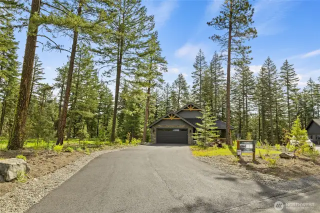 Expansive driveway