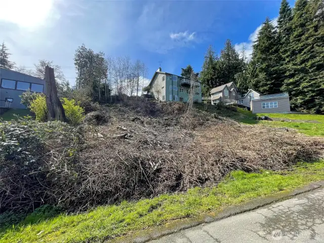View from the north side of the property
