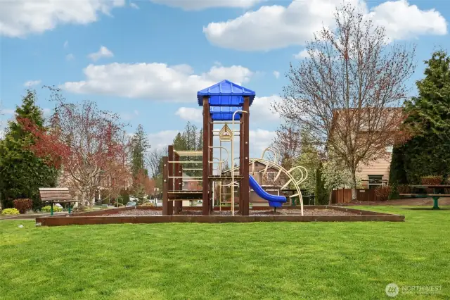 Community Park just down the street