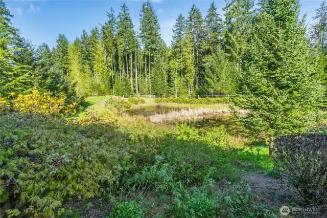 A green belt and a pond, wildlife and bird watching.