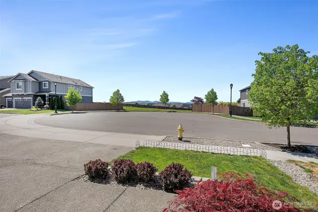 View from front porch.