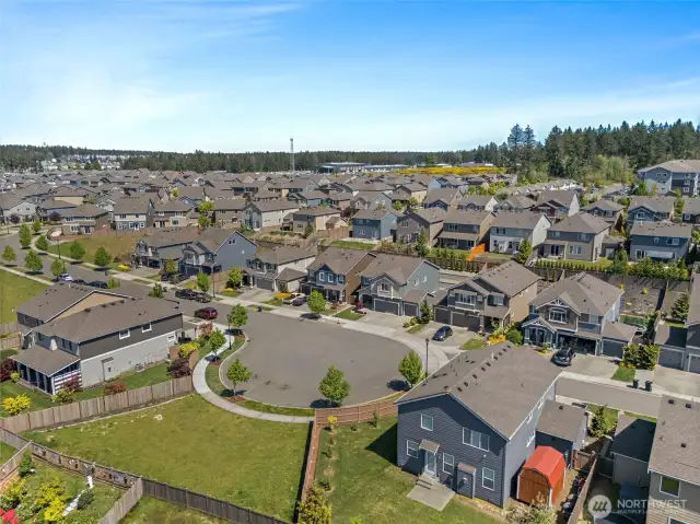 Aerial of neighborhood