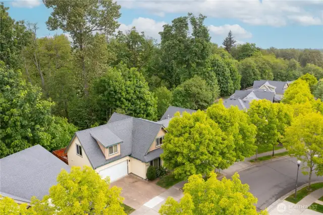 Tree-lined street w/ greenbelt behind