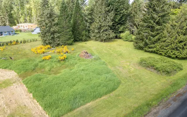 Relatively level lot with brush and a few large trees