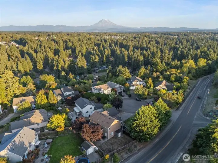 Aerial view with Mt Rainier in the distant and Woodland Ave just outside of cul-de-sac neighborhood