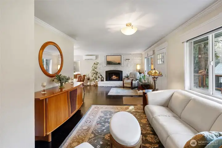 New propane fireplace insert