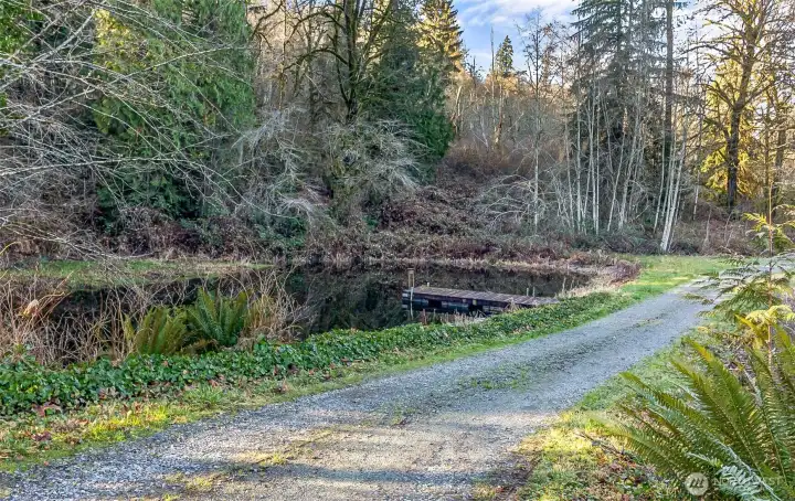 Driveway between the two homes - there is a pond with a dock!