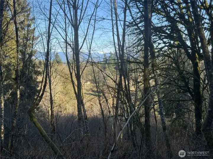 At the upper wooded acreage, there may be the possibility of a building site with a view!