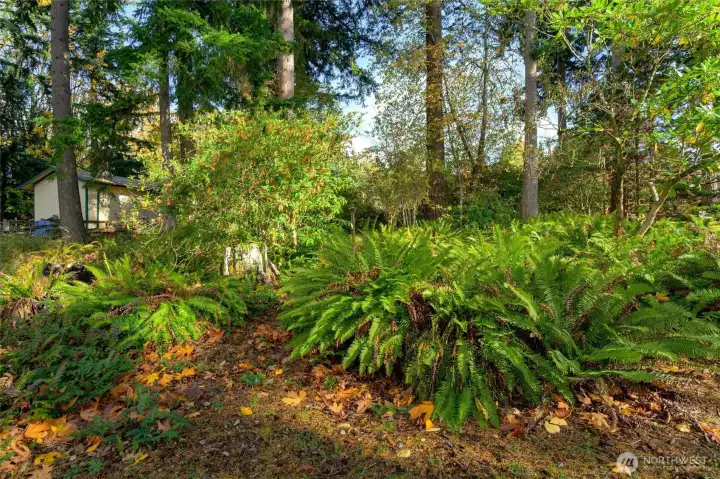 Additional lot with private access to Railroad Trail