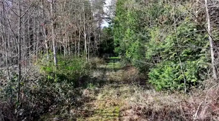 Buyer to verify property lines through survey.