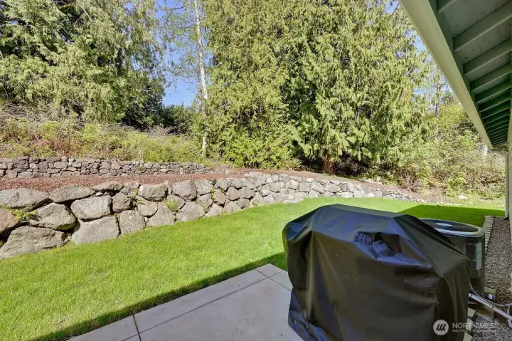 Perfect backyard area for barbequing.