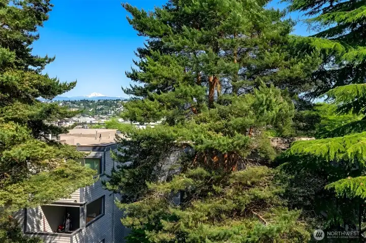 Windy Hills Grounds