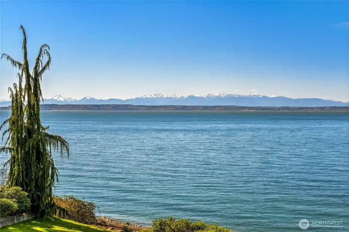 Amazing views from almost every room! Amazing views from almost every room!