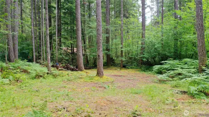 Perfectly cleared for your RV, Small Cabin, or outdoor kitchen
