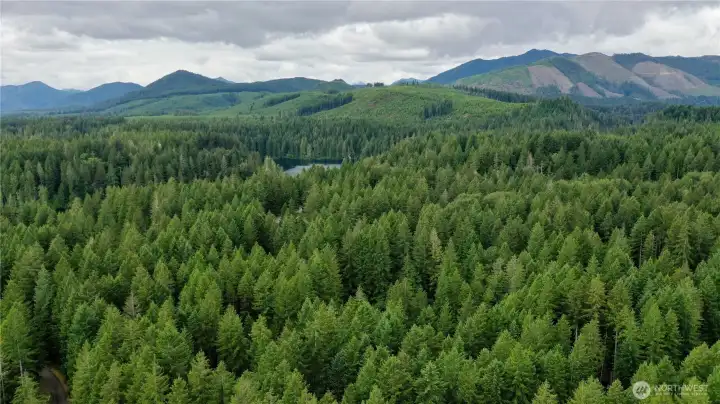 aerial view of surrounding areas from above the lot