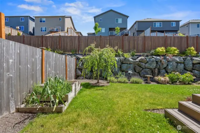 Fully fenced yard with garden beds. What will you plant this summer?