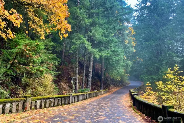 Shore Drive is just minutes from the entrance to Mt. Constitution in Moran State Park, offering easy access to hiking, biking, swimming, and endless outdoor adventures.