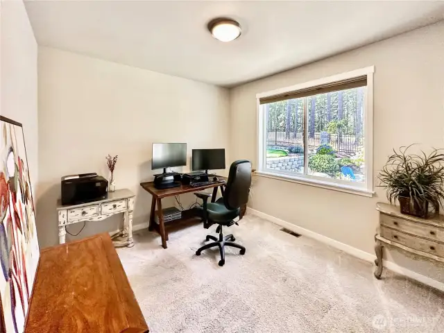 Main floor 3rd bedroom currently being used as a second office.