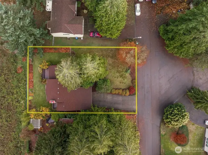 Lines drawn are for general idea by photographer. Buyer to verify to their own satisfaction.