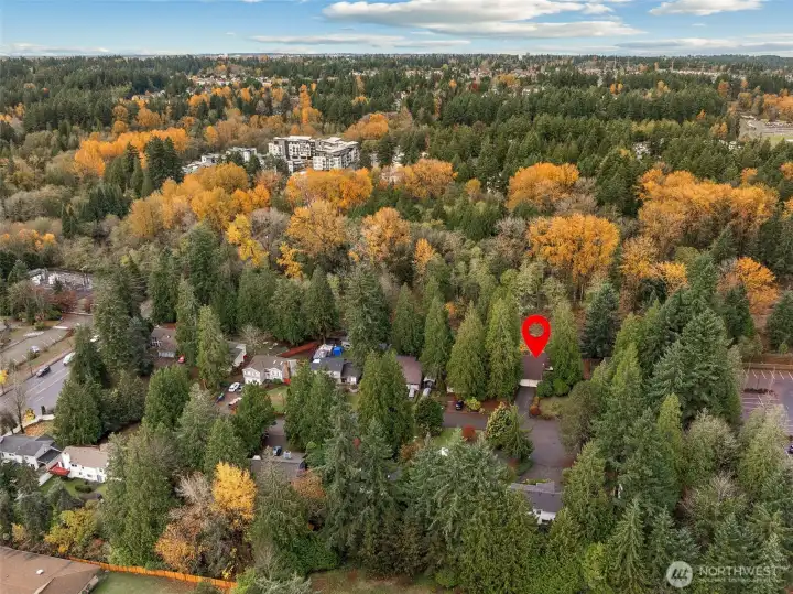 Looking generally west. So close to everything, yet quiet and private.