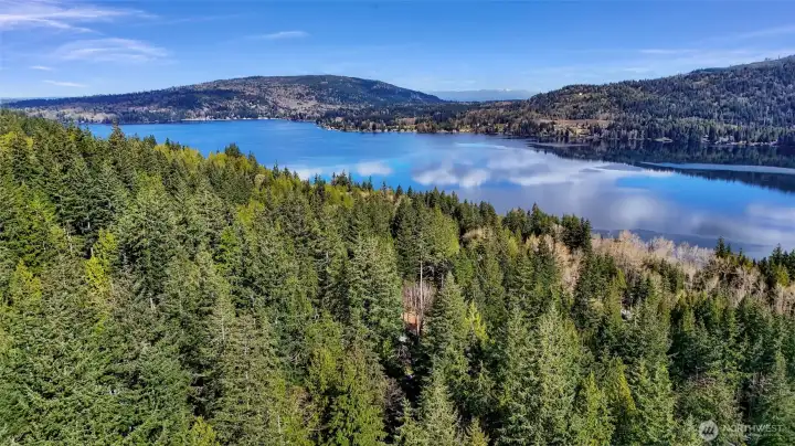 Aerial view of surrounding trees and Lake Whatcom