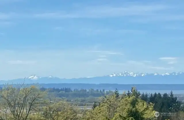 On a clear afternoon, the Olympics are visible from the western windows.