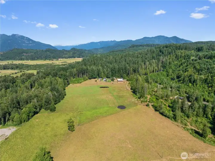 Randle Legacy Farm 75 +/- acre in 3 parcels Randle Legacy Farm 75 +/- acre in 3 parcels